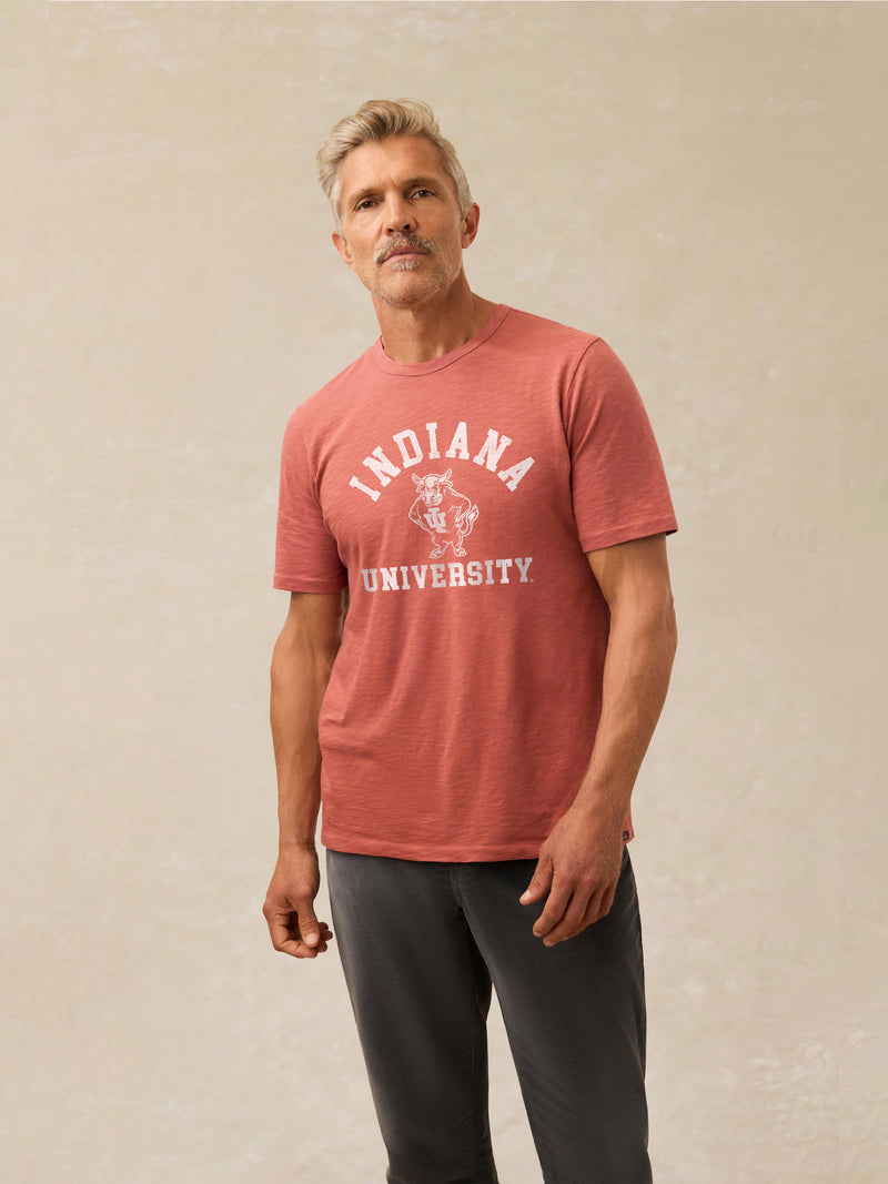 Indiana University Sunwashed Regenerative Tee - Cherry Wood